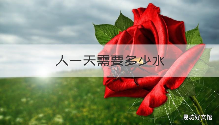 人一天需要多少水 一个人一天要喝多少毫升水才正常