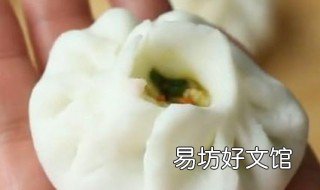 不发面的包子的做法 不发面包子的做法大全