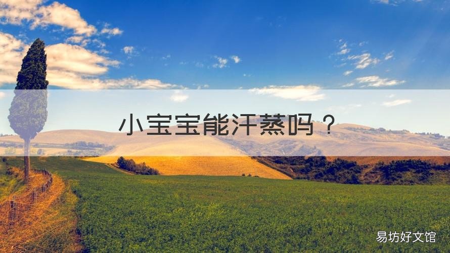 小宝宝能汗蒸吗 小孩儿能汗蒸吗?