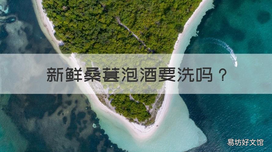 新鲜桑葚泡酒要洗吗