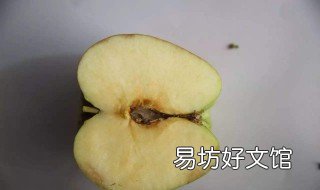 蘋果霉心病是什么原因 蘋果霉心病菌