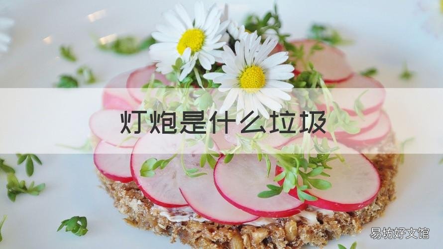 燈炮是什么垃圾 燈泡是這個(gè)炮嗎