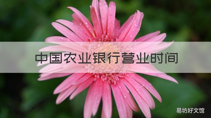 中国农业银行营业时间 南京中国农业银行营业时间