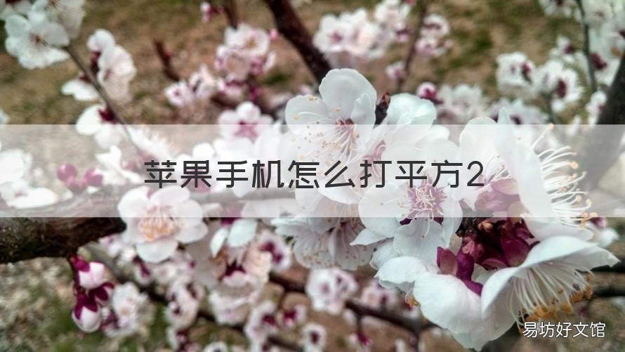 蘋果手機怎么打平方2 蘋果手機怎么打平方米那個小2