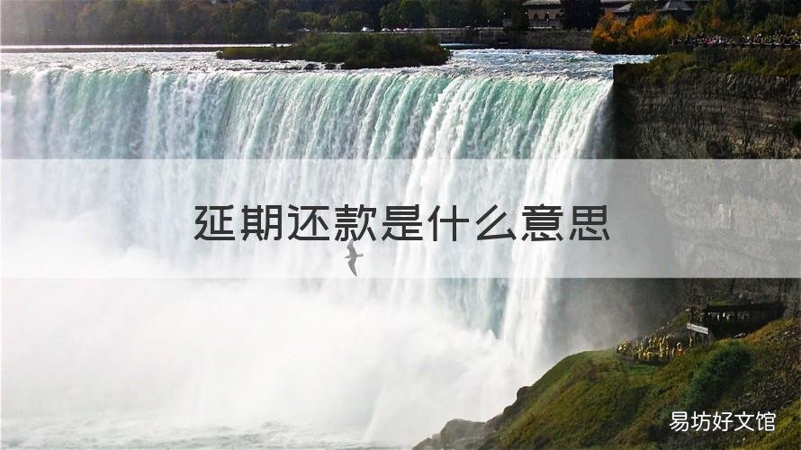 延期還款是什么意思 分?jǐn)傃悠谶€款是什么意思