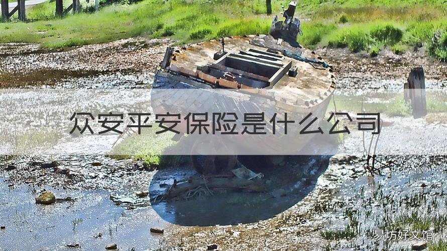 众安平安保险是什么公司 众安平安是平安保险公司的吗