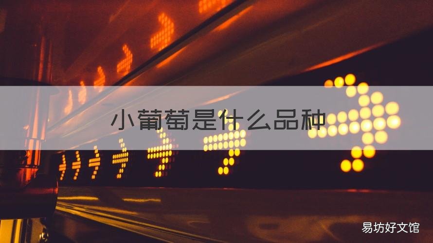 小葡萄是什么品种 葡萄是什么品种的狗