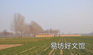 曹县最大的镇 曹县有几个镇