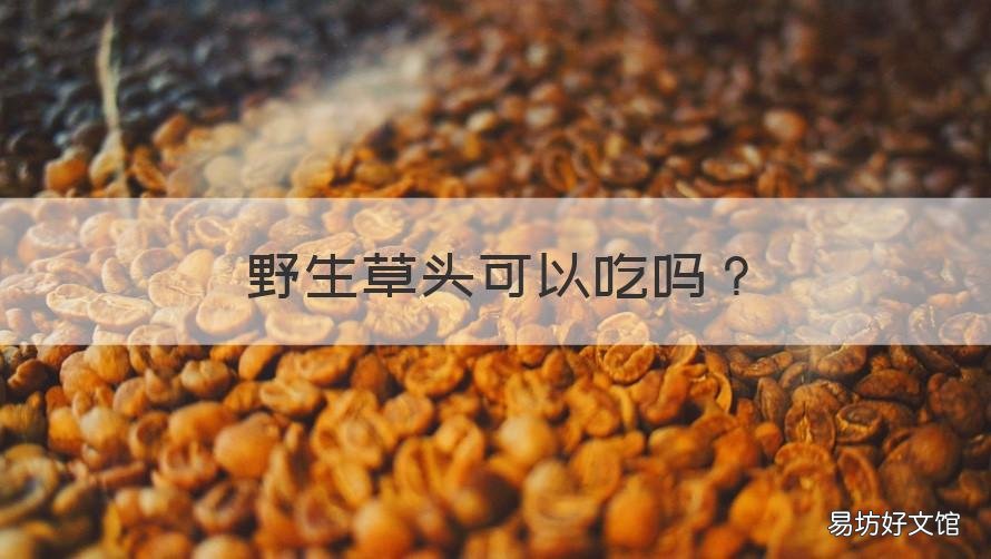 野生草头可以吃吗 野生草头可以吃吗有毒吗