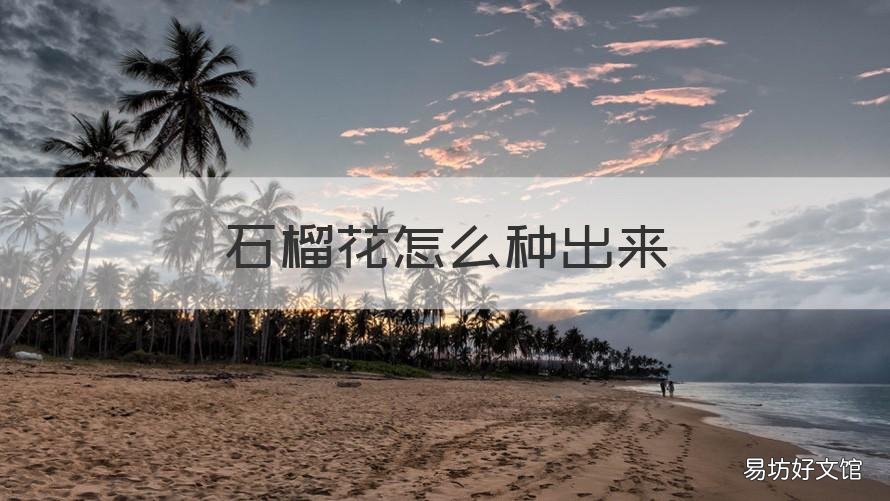 石榴花怎么种出来 石榴花怎么移栽