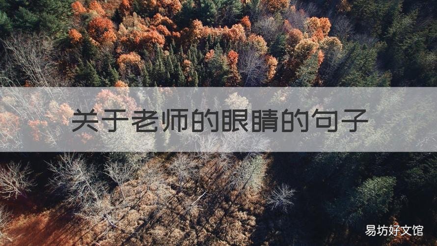 关于老师的眼睛的句子 夸老师眼睛的句子