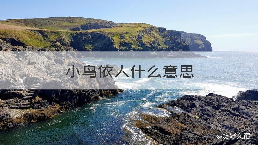 小鸟依人什么意思 小鸟依人什么意思打一肖