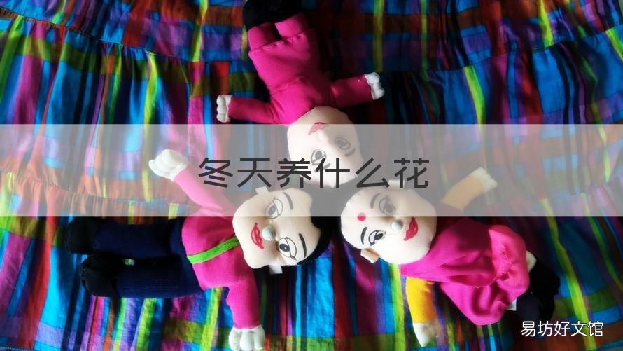 冬天养什么花 冬天养什么花在室内好