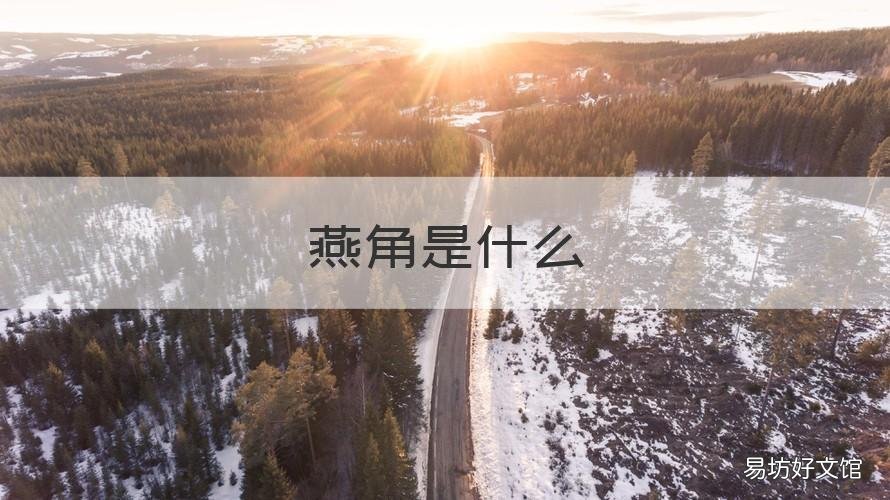 燕角是什么 燕角是什么做的