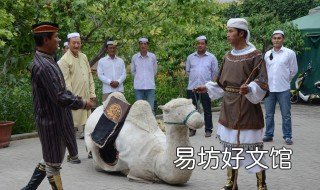 撒拉族的來源 撒拉族的來源與歷史