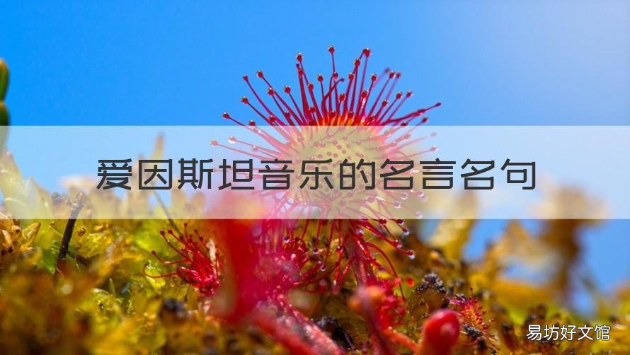 爱因斯坦音乐的名言名句 爱因斯坦说过的名言名句