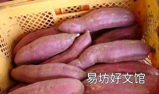 优红薯怎么放不烂 红薯怎么存不烂?