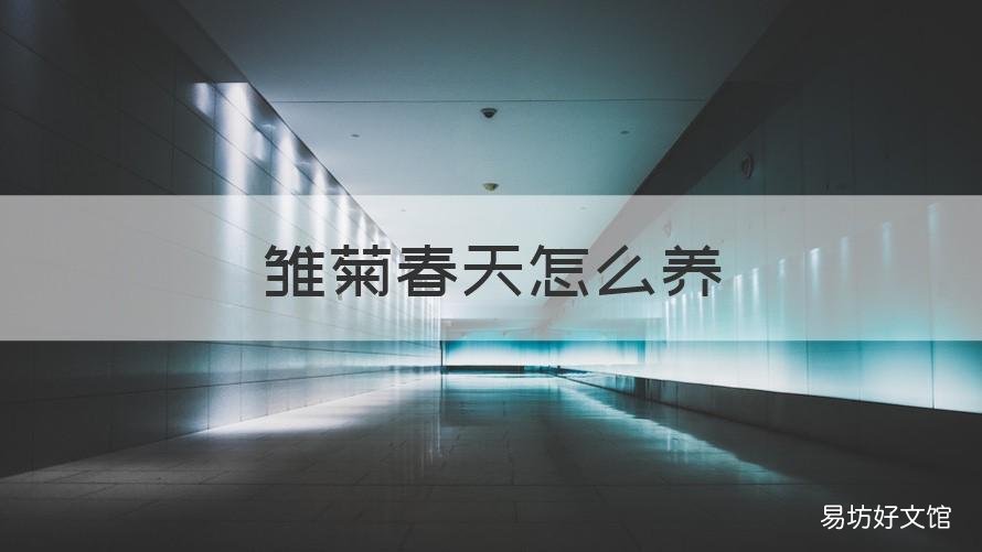 雏菊春天怎么养 春天可以种小雏菊吗