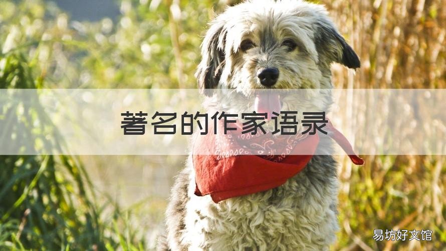 著名的作家语录 著名的作家语录有哪些