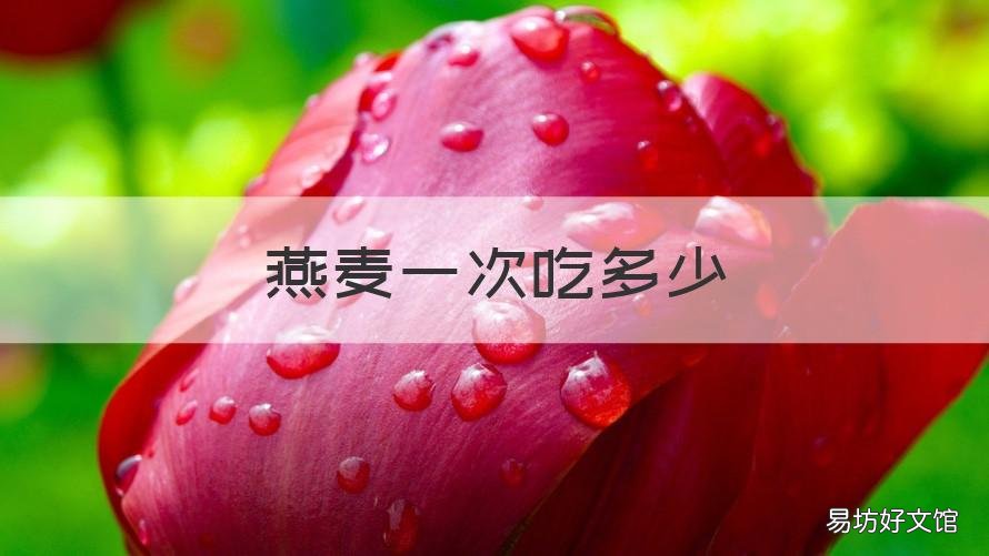 燕麦一次吃多少 燕麦一次吃多少勺奶粉勺