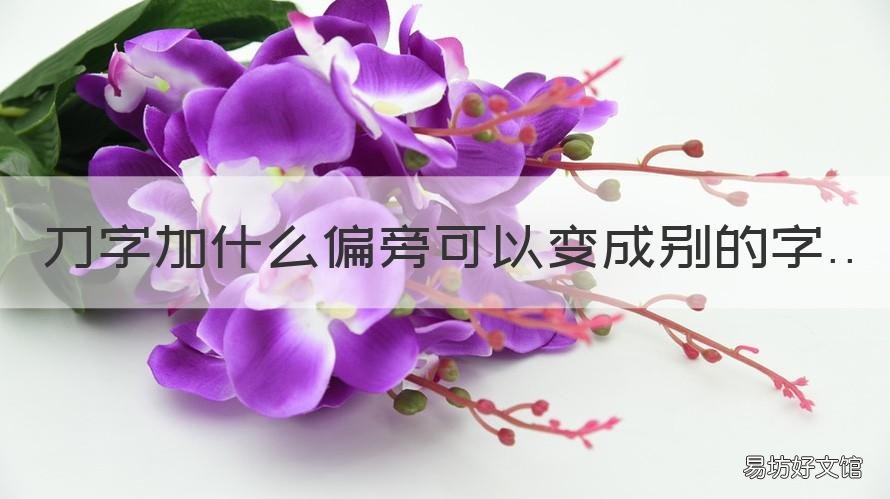 刀字加什么偏旁可以變成別的字 刀加偏旁能變成什么字