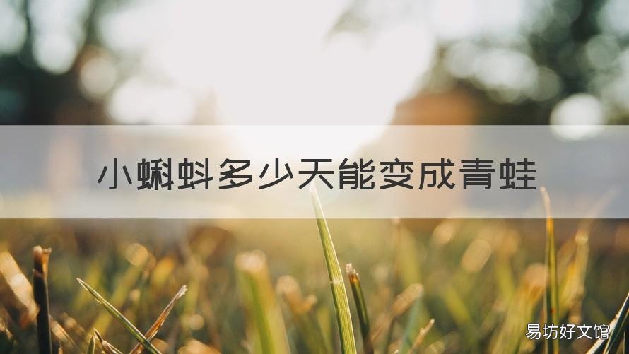 小蝌蚪多少天能变成青蛙