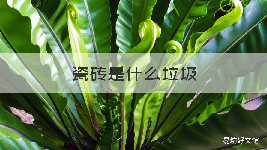 瓷磚是什么垃圾 瓷磚是什么垃圾分類