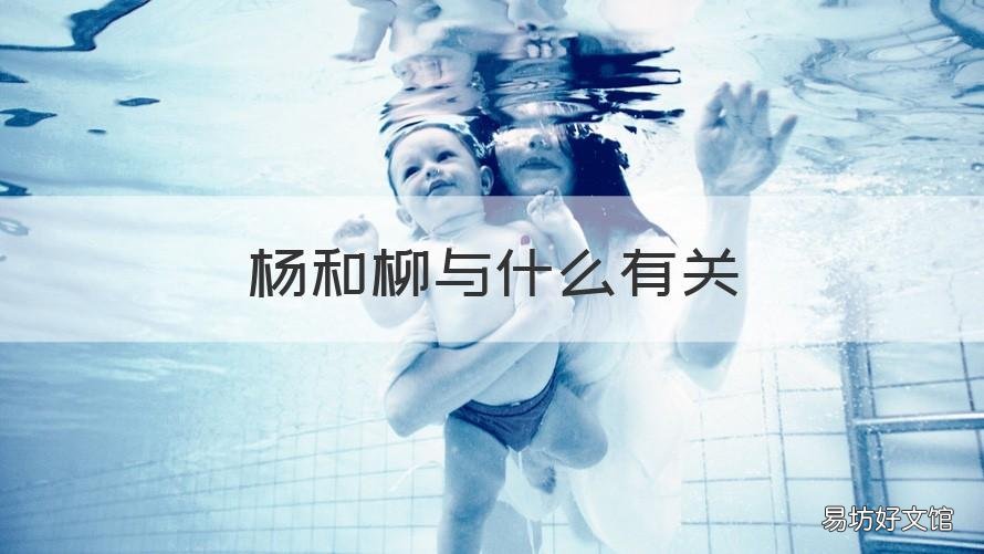 杨和柳与什么有关 柳为什么叫杨柳