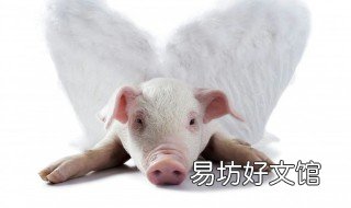 83年属猪男的2020运气 83年属猪人2022年运势财运