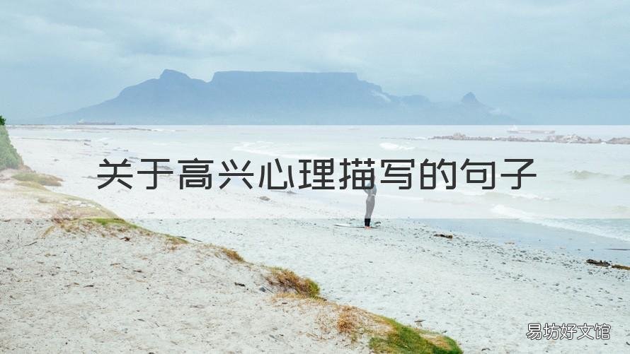 關(guān)于高興心理描寫的句子 高興心理描寫的句子摘抄