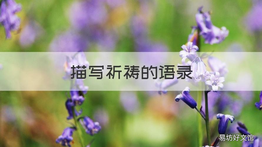 描写祈祷的语录 祈祷的句子 经典语录