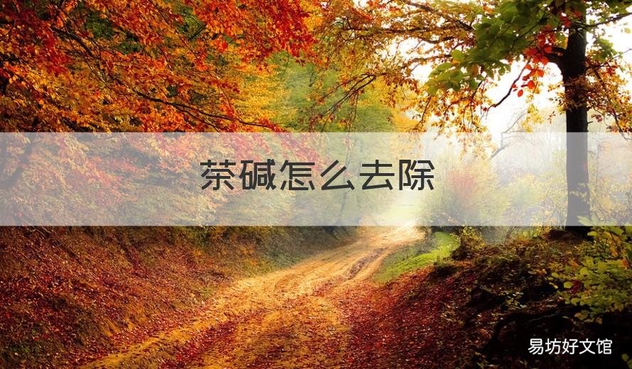 茶碱怎么去除 茶碱怎么去除掉