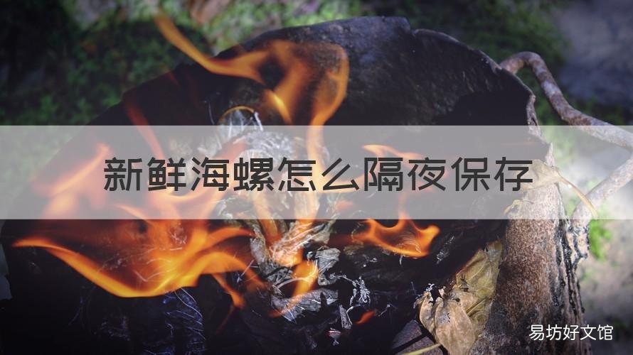 新鮮海螺怎么隔夜保存 海螺怎么保鮮到第二天