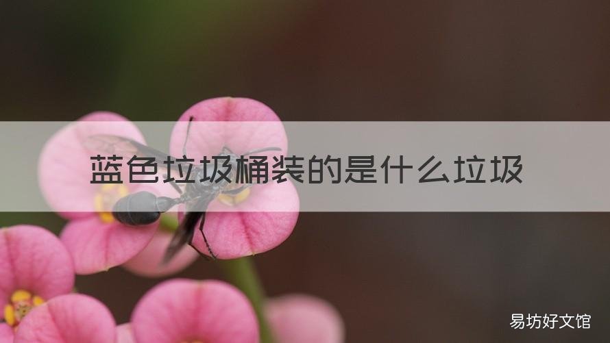 藍(lán)色垃圾桶裝的是什么垃圾