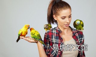 房子上的鸟粪掉在头上什么预兆 鸟粪落到头上好不好