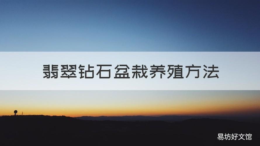 翡翠鉆石盆栽養(yǎng)殖方法 鉆石翡翠的養(yǎng)殖方法