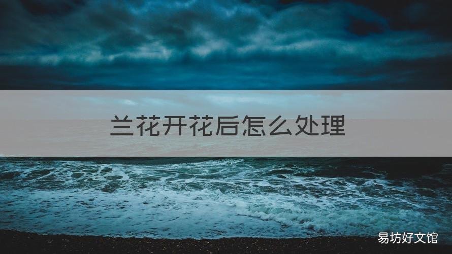 兰花开花后怎么处理 兰花开花后如何处理