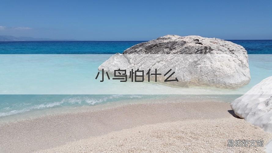 小鸟怕什么 小鸟怕什么声音