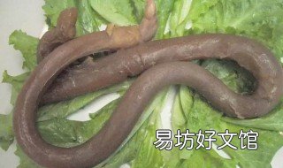 干牛鞭的做法和功效 干牛鞭怎么吃才壮阳 牛鞭怎么做好吃
