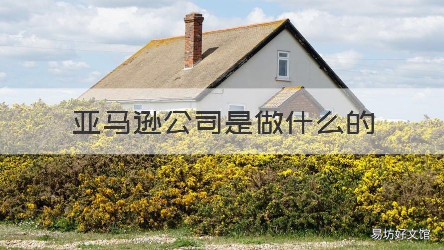 亚马逊公司是做什么的 成都亚马逊公司是做什么的