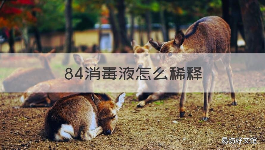 84消毒液怎么稀释 84消毒液怎么稀释不褪色