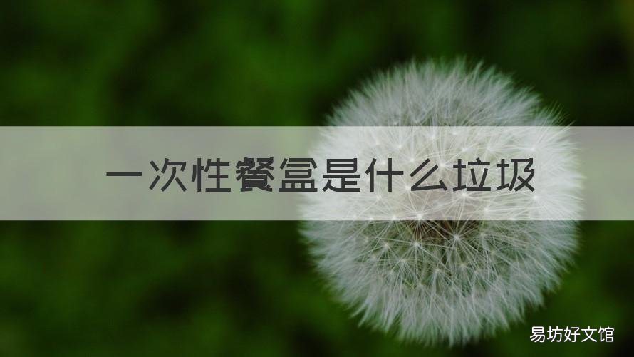 一次性餐盒是什么垃圾 一次性餐盒 垃圾