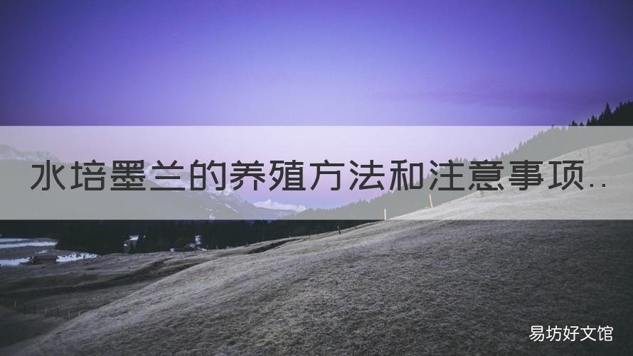 水培墨蘭的養(yǎng)殖方法和注意事項 水培墨蘭如何養(yǎng)護(hù)
