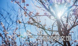梅若兰是什么电视剧 林若兰是什么电视剧