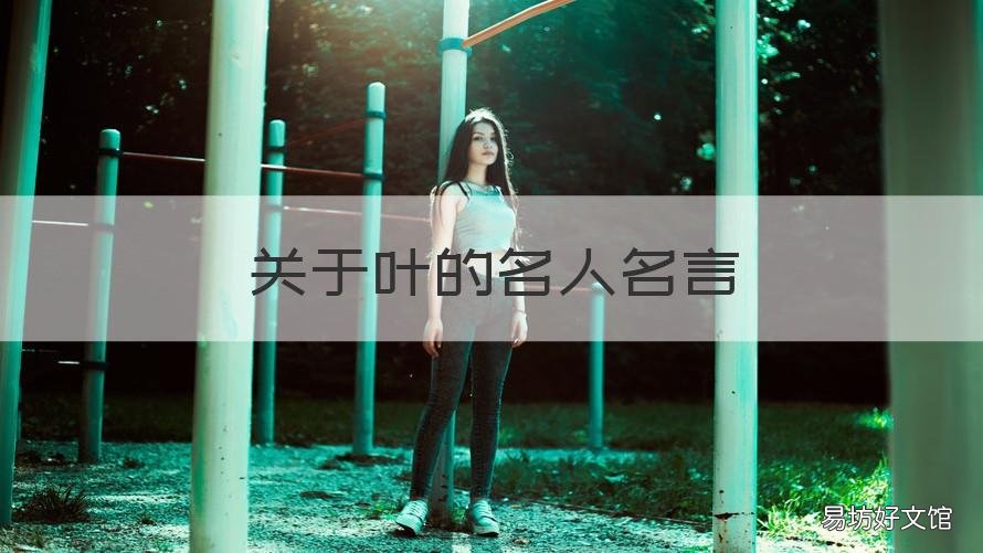 关于叶的名人名言 叶开的名言