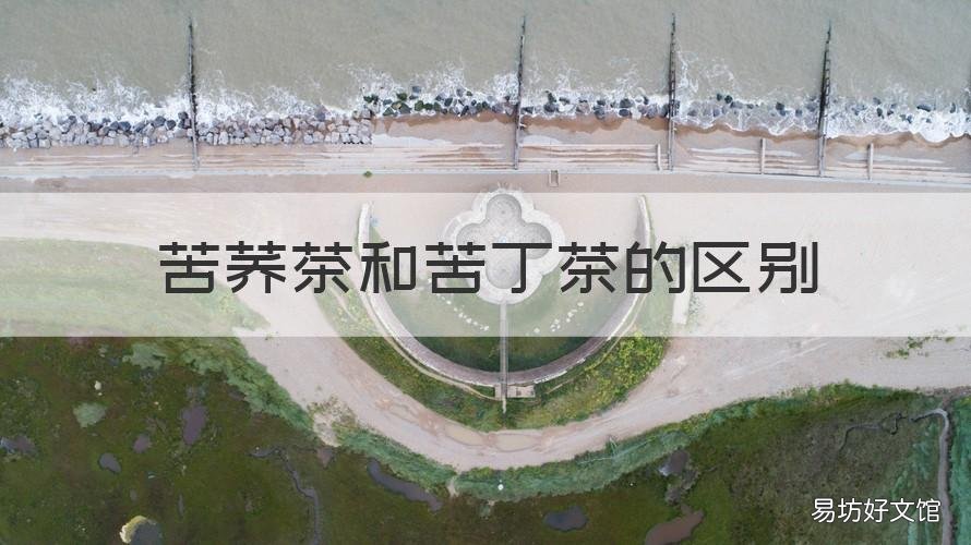 苦荞茶和苦丁茶的区别 苦荞茶和苦丁茶的功效和作用