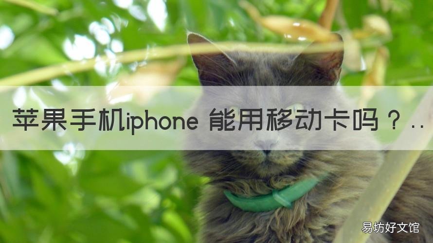 苹果手机iphone 能用移动卡吗 苹果可以用移动的卡吗