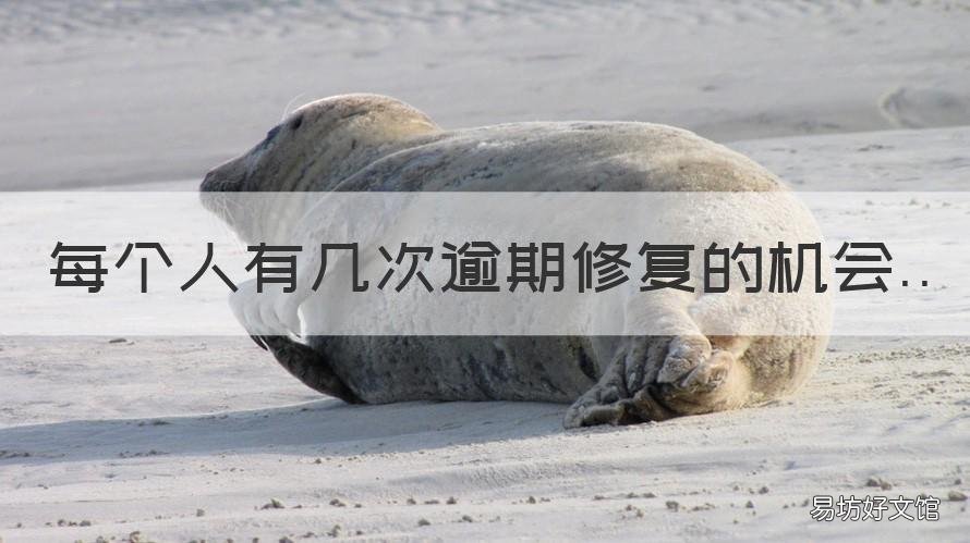 每个人有几次逾期修复的机会 逾期连3累6多久会消除