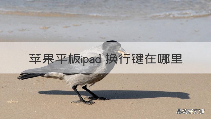 苹果平板ipad 换行键在哪里 ipadpro换行键在哪里