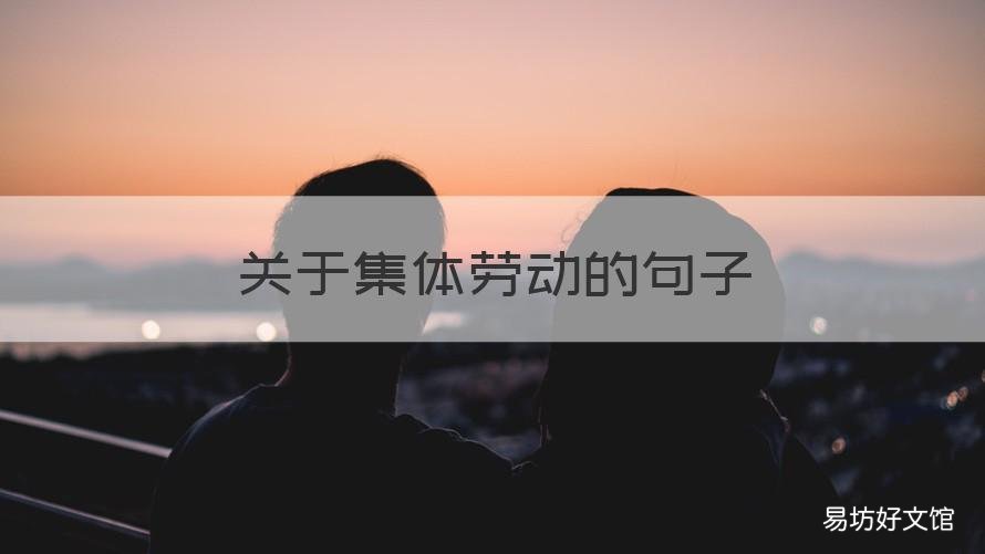 关于集体劳动的句子 关于集体劳动的说说